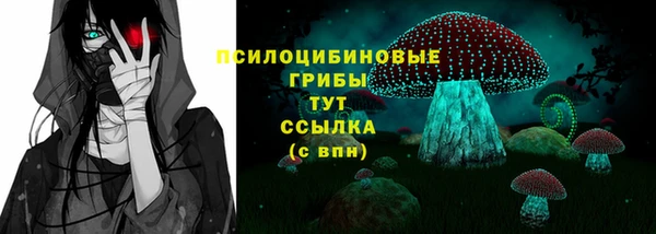 МДПВ Сатка