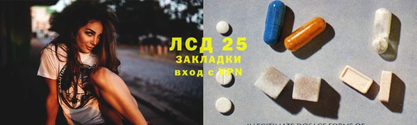 прущие грибы Сафоново