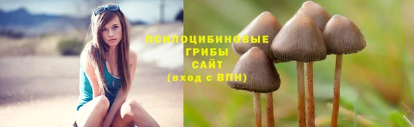 спиды Саяногорск