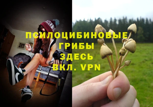 герыч Белокуриха