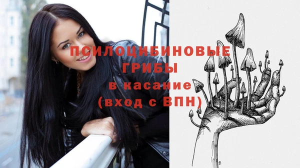 спиды Саяногорск