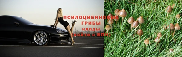 крисы Белоозёрский