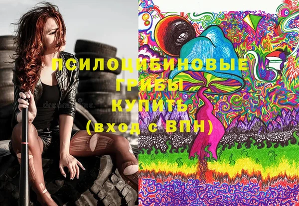 крисы Белоозёрский