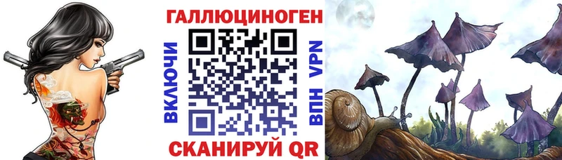 как найти   Туймазы  Псилоцибиновые грибы GOLDEN TEACHER 